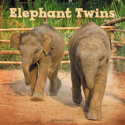 Elephant Twins book