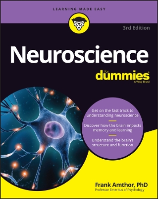 Neuroscience For Dummies by Frank Amthor