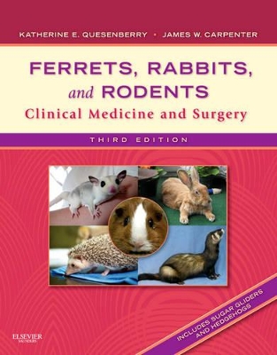 Ferrets, Rabbits, and Rodents by Katherine Quesenberry