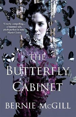 Butterfly Cabinet book