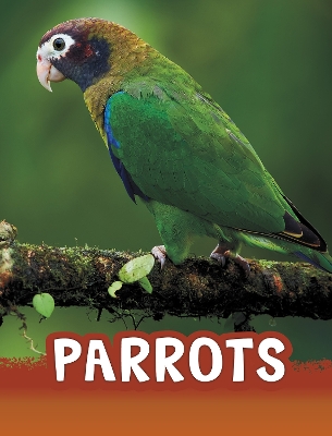 Parrots by Mari Schuh