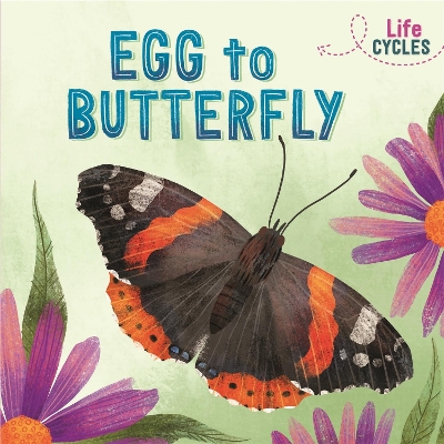 Life Cycles: Egg to Butterfly book