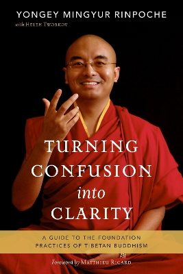 Turning Confusion Into Clarity book