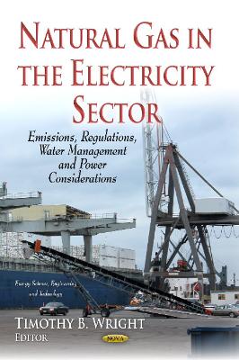 Natural Gas in the Electricity Sector book