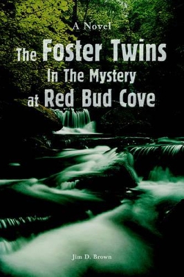 The Foster Twins In The Mystery at Red Bud Cove book