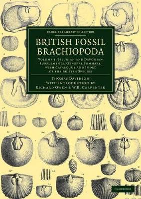 British Fossil Brachiopoda by Thomas Davidson