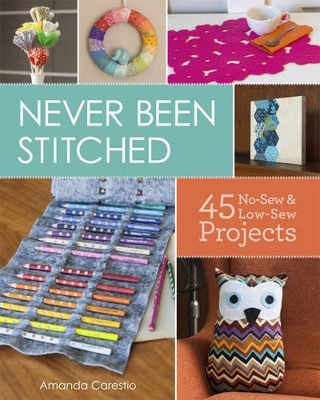Never Been Stitched book