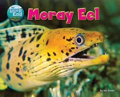 Moray Eel by Jen Green