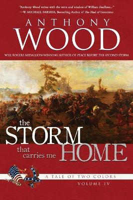 The Storm That Carries Me Home: A Story of the Civil War book