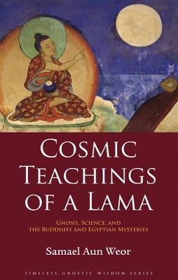 Cosmic Teachings of a Lama book