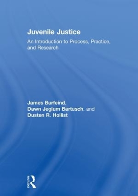 Juvenile Justice book
