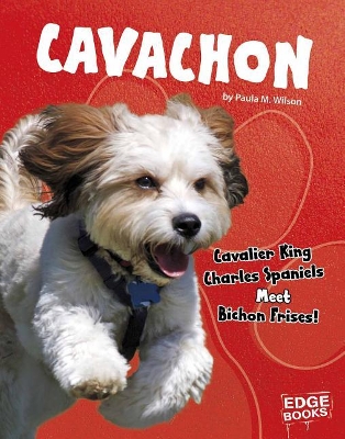 Cavachon: Cavalier King Charles Spaniels Meet Bichon Frises! book
