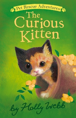 Curious Kitten book