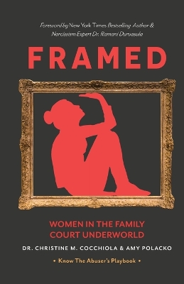 Framed: Women in the Family Court Underworld book