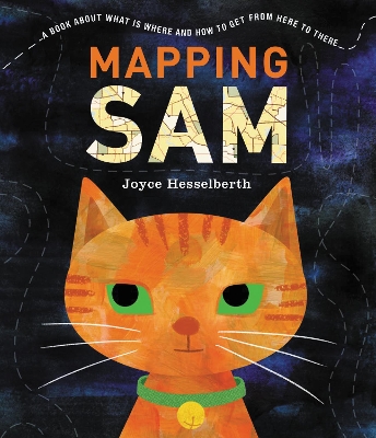 Mapping Sam book