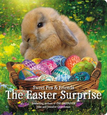 The Easter Surprise by Jennifer Churchman