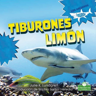 Tiburones Limón (Lemon Sharks) by Julie K Lundgren