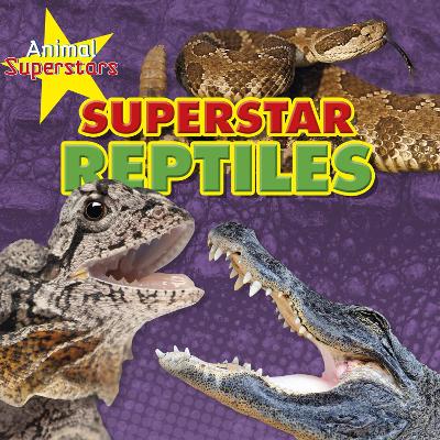 Reptile Superstars book