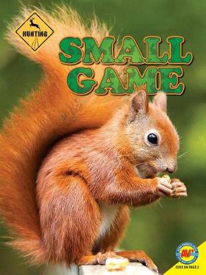 Small Game by Janet Gurtler