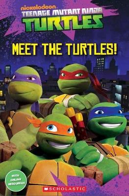 Teenage Mutant Ninja Turtles: Meet the Turtles! book