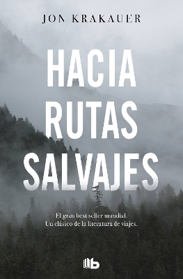 Hacia rutas salvajes / Into the Wild book