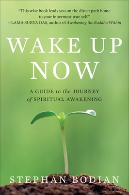 Wake Up Now book