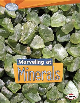 Marveling at Minerals by Sally M Walker