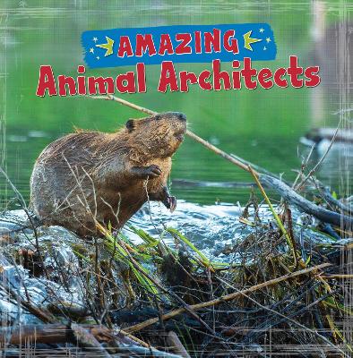 Amazing Animal Architects book