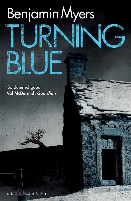 Turning Blue book