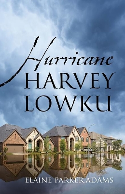 Hurricane Harvey Lowku book