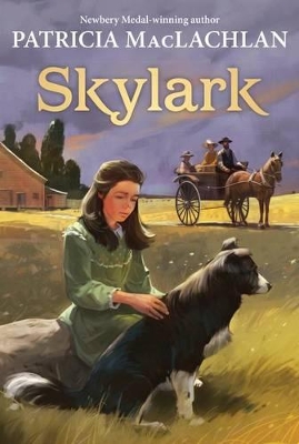 Skylark book