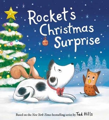 Rocket's Christmas Surprise book