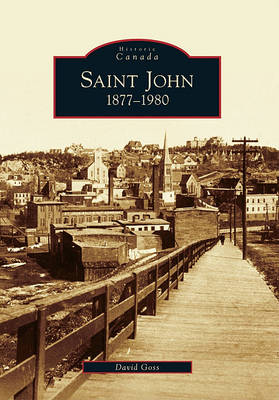 Saint John, 1877-1980 book