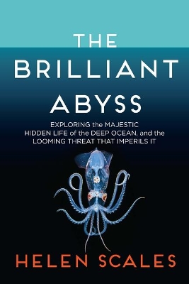 The Brilliant Abyss: Exploring the Majestic Hidden Life of the Deep Ocean, and the Looming Threat That Imperils It book