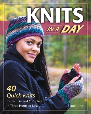 Knits in a Day book