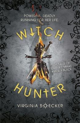 Witch Hunter: Witch Hunter book