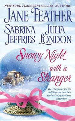 Snowy Night with a Stranger book