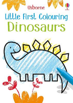 Little First Colouring Dinosaurs book