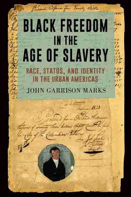 Black Freedom in the Age of Slavery: Race, Status, and Identity in the Urban Americas book