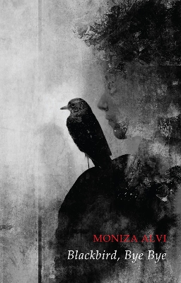 Blackbird, Bye Bye book