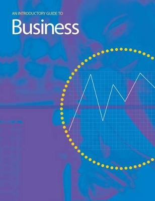 Introductory Guide to Business book