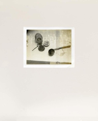 Laura Letinsky - Time's Assignation book