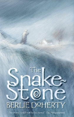 Snake-stone book