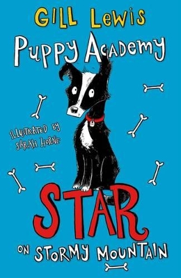 Puppy Academy: Star on Stormy Mountain book