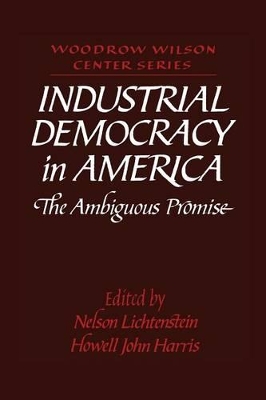 Industrial Democracy in America book