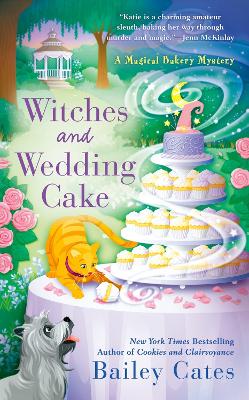 Witches And Wedding Cake book