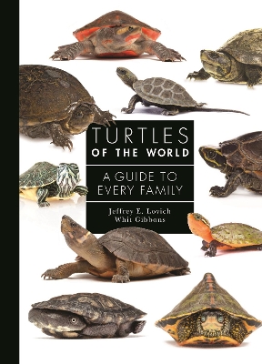 Turtles of the World: A Guide to Every Family by Whit Gibbons