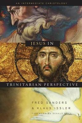 Jesus in Trinitarian Perspective book