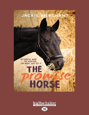 The The Promise Horse by Jackie Merchant