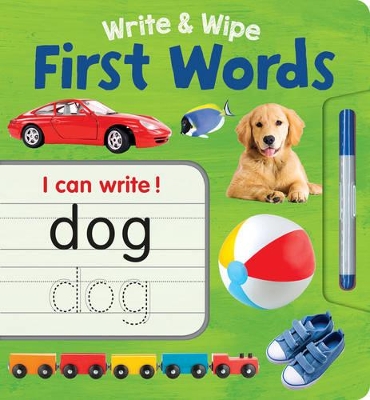 Write & Wipe First Words Plus Pen book